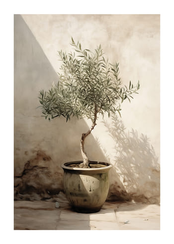 Juliste Olive Tree Mediterranean No1